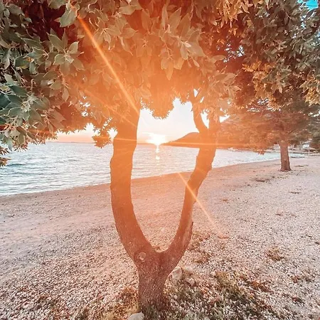 Casa vacanze Buqez 58 - Drage